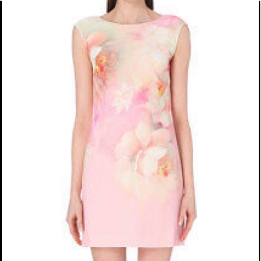TED BAKER Damona Rose On Canvas Dress TED 3 US 6-8 - Picture 2 of 6